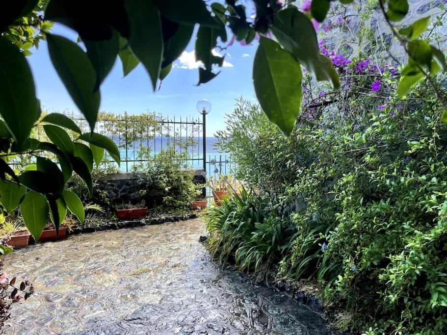 Ocean View Villa With Fast Wi-Fi And Elevator To Town Levanto Zewnętrze zdjęcie